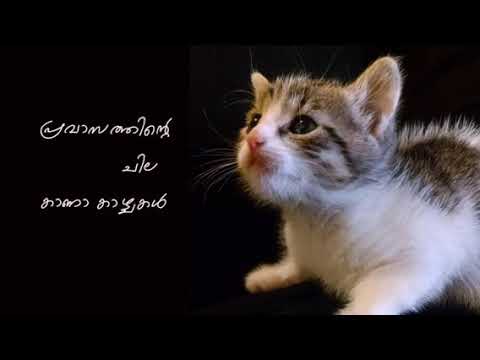 പ്രവാസത്തിന്റെ ചില കാണാ കാഴ്ചകൾ