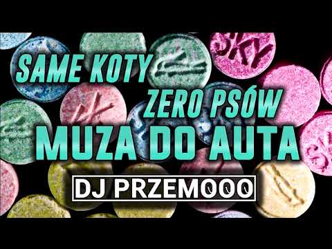 ★ VIXA ✅ SAME KOTY ZERO PSÓW ❗🐱 MUZA DO AUTA LUTY/MARZEC 2019 🚗✅ Mixed: Dj Przemooo