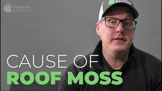 What causes moss on roof? | Is it bad ? - Clearstone Solutions