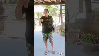 Download lagu Young Coconut Salad! #shorts #shortsvideo #viral #viralvideo #funny #entertainment mp3