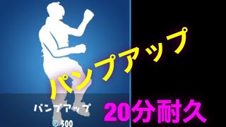 【フォートナイト】パンプアップ20分間耐久