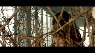 Antonia feat Jay Sean-Wild Horses (Official Video)