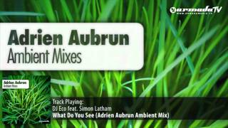 DJ Eco feat. Simon Latham - What Do You See (Adrien Aubrun Ambient Mix)
