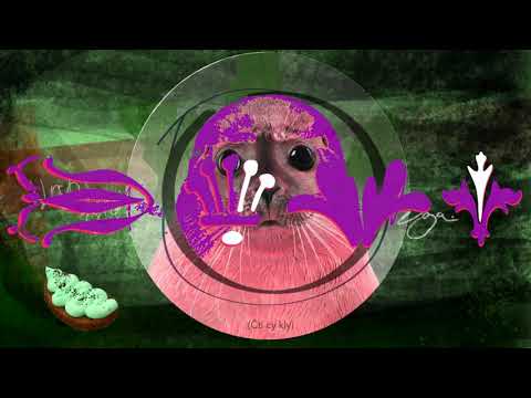 Cykly - Vega a Lynch