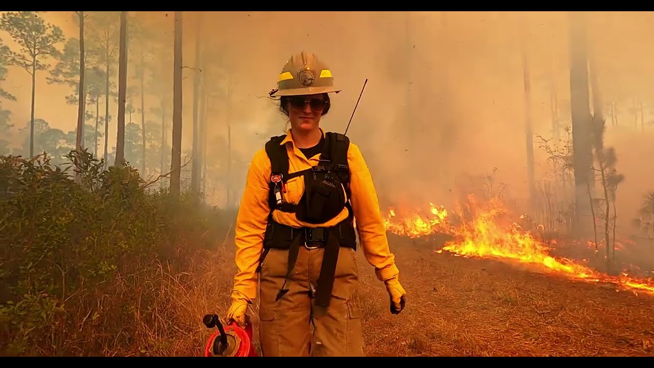 Conserving Wildlife and Habitats through Wildland Fire