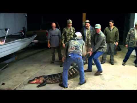 Music by Evens Colas - K & K Miami - See You Later Alligator