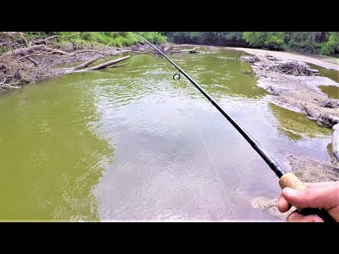 Exploring SMALL Streams for BIG FISH! (Bobber fishing)
