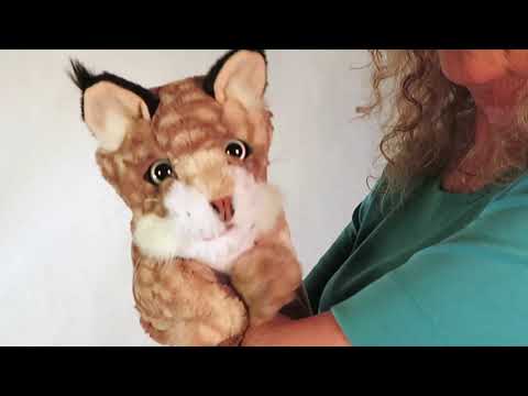 Bobcat Kitten Hand Puppet