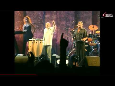 Wolfgang Ambros & Ostbahn Kurti: Zwickts mi (Live 1996)