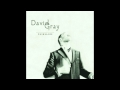 David Gray - Who's Singing Now