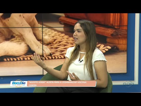 “Agosto Verde” alerta para leishmaniose visceral canina 01 08 2022