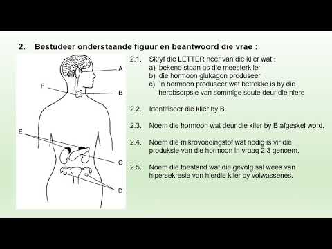 LEWENSWETENSKAP GRAAD 12: 04 Junie 2020 - periode 7 (04127)