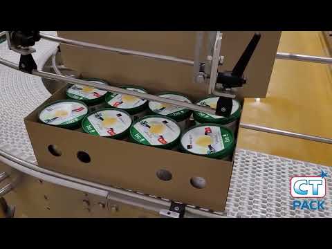 CT Pack: Secondary Packaging Solution for Ice cream Cones, Round Tubs & Tubs