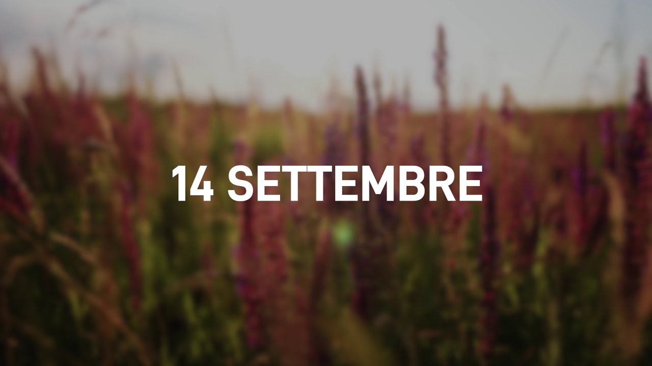 14 Settembre 2025 | Meditazione Parole di Vita