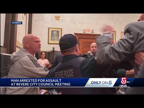 Fight breaks out during city council meeting about new school