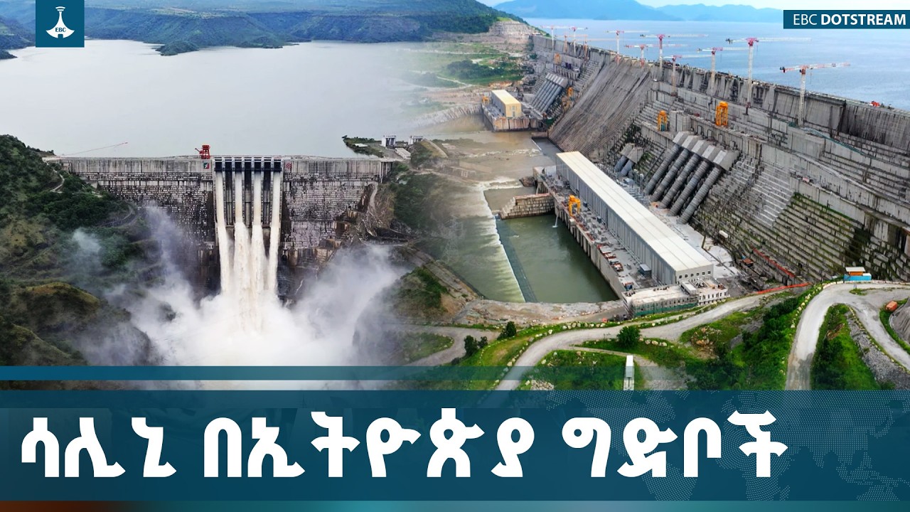 በኢትዮጵያ የኃይል ማመንጫ ግድቦች ግንባታ ላይ የጣሊያኑ የኮንስትራክሽን ኩባንያ ሳ?