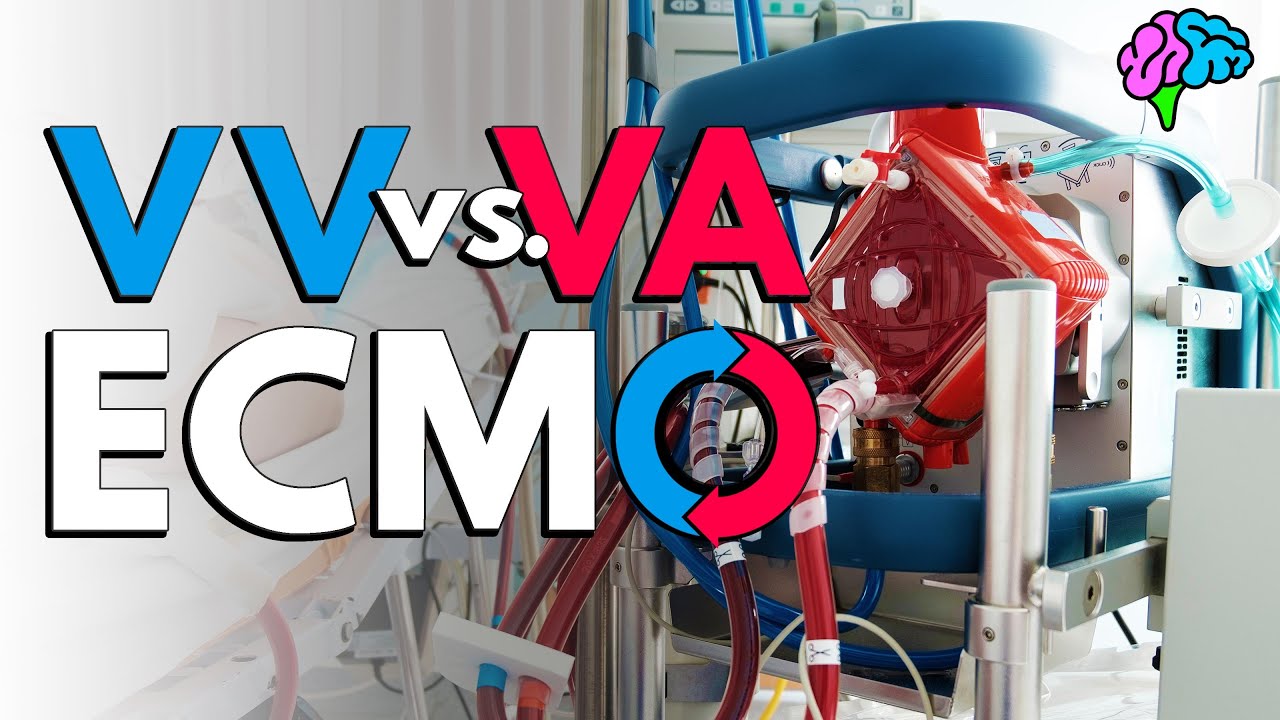VV vs VA ECMO Explained!