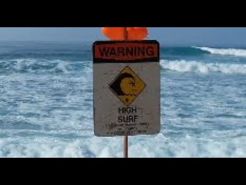 Surf Makaha 2025 11 30