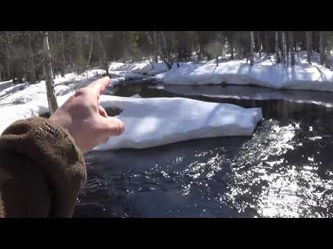 Majavatolskaus 2021, osa 1/3