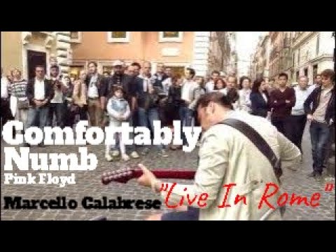 Street musician Marcello Calabrese live in Rome, "Comfortably numb" (Pink Floyd)