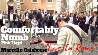 Street musician Marcello Calabrese live in Rome, "Comfortably numb" (Pink Floyd)