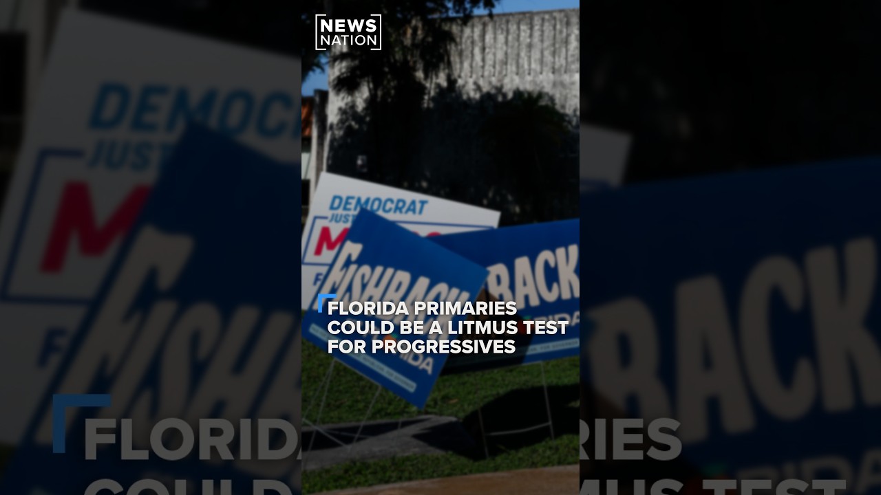 Video: Florida holds Aug. 18 primaries pitting Moskowitz against progressive Larkin in FL-25