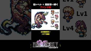 FF5 魔獣使いでアパンダ瞬殺 低Lv FINAL FANTASY V SFC版 job unification & Low-Level Run VS Apanda