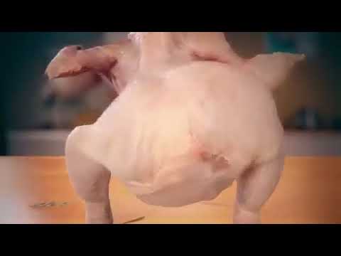 Pa Arriba Pa Abajo Lento pollo bailando xdxdxdxdxd