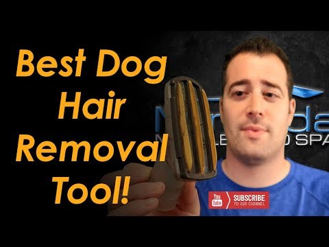 How To Remove Pet Hair From Carpet and Upholstery  // Best Dog Hair Removal Tool!