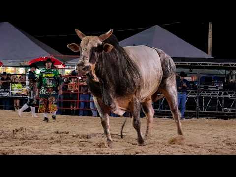 DISPUTA FINAL em TOUROS | Rodeio de GUAPIRAMA-PR 2026