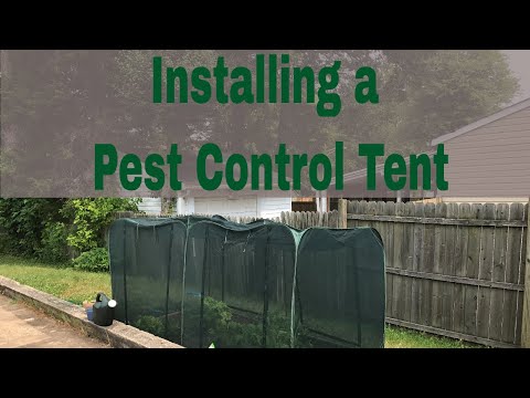 We Installed a Pest Control Tent #15n15 #AWalkThruMotherhood