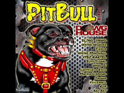 Ward 21 - One Two (Pitbull Riddim) 2007 HQ