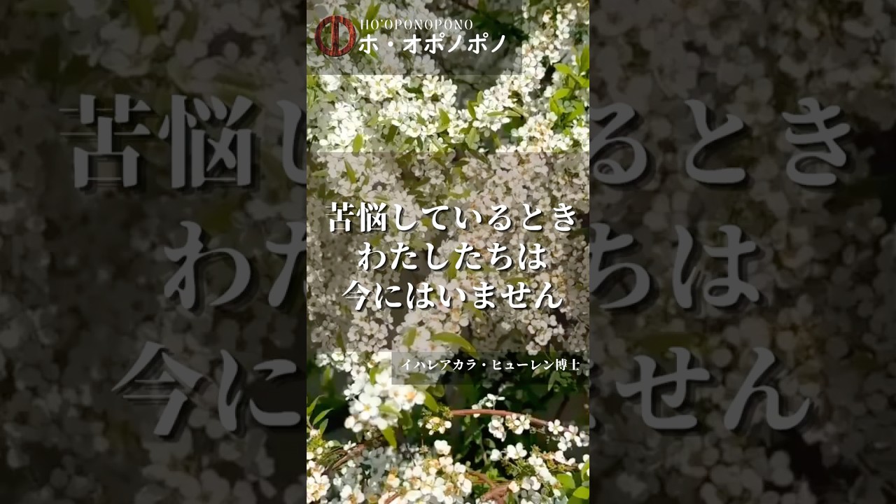 今週の一言：苦悩しているとき「今」にいない｜ホ・オポノポノ
