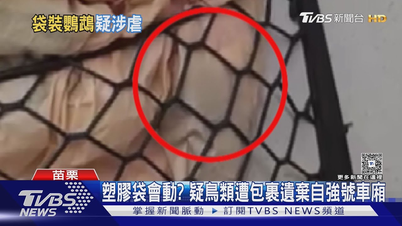 塑膠袋會動? 疑鳥類遭包裹遺棄自強號車廂