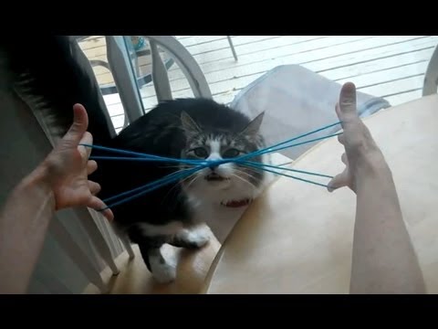 How to do Cat Whiskers, with string, step by step Kitty Whiskers