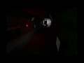 Leaked footage of vault 8166