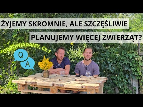 A MODEST BUT HAPPY LIFE IN THE COUNTRY! WHY DID WE LIVE HERE? Q&A Part 1