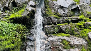 My first mini vlog😭|| mini vlog day 1 ||#shorts #minivlog #myfirstvlog #myfirstvlogviral