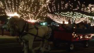 preview picture of video 'Horse and carriage tour in Ocala - Christmas in the square'