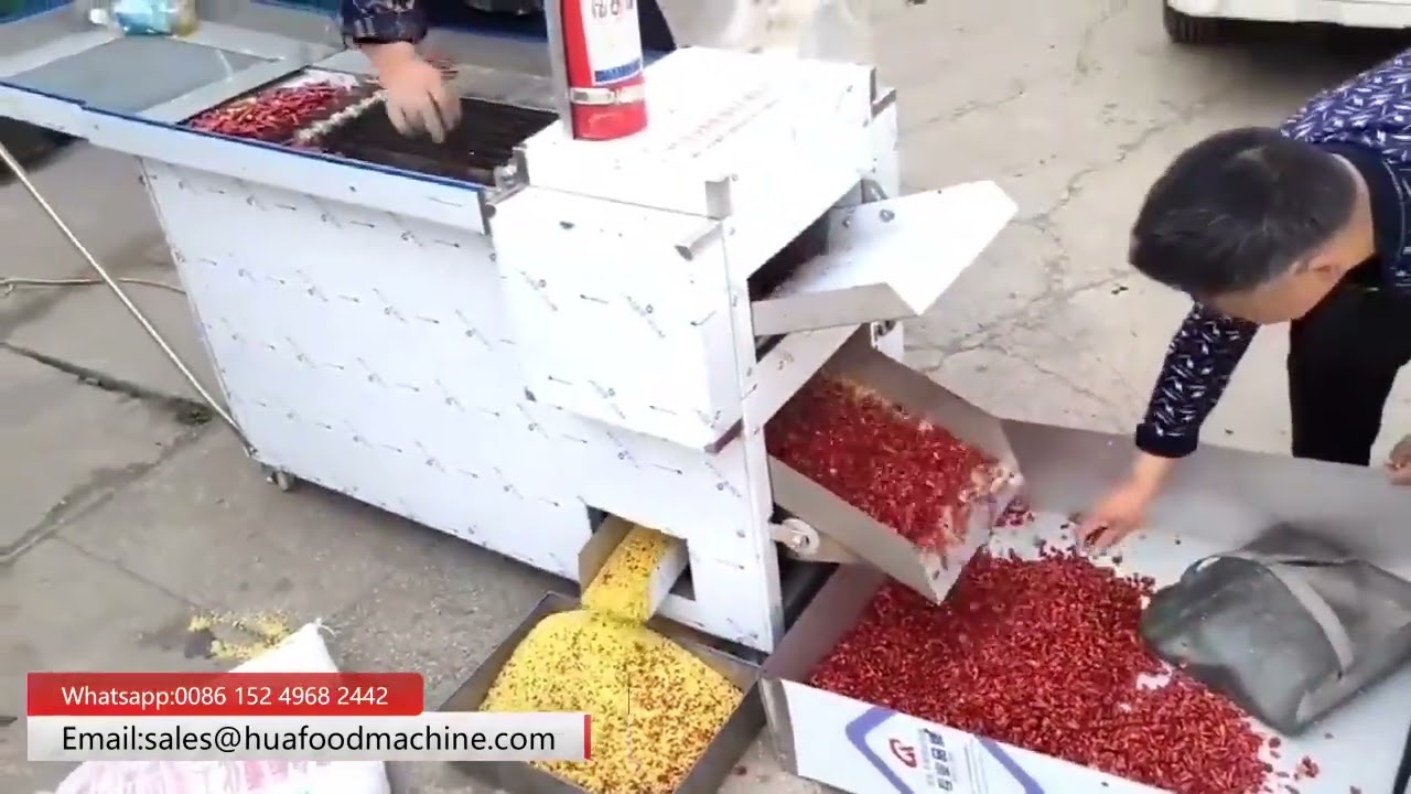 Dry Red Chilli Stem Cutting Removing Machine Test In Our Factory