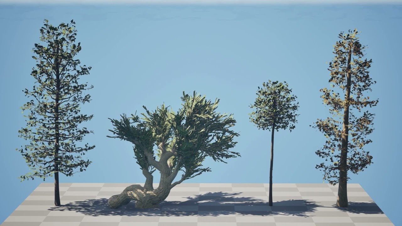 North American Pines Collection 3D Model