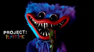 When fear surrounds you 《Project Playtime》