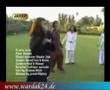 Afghan Attan Nazia Iqbal Afghan Music Pashto Song