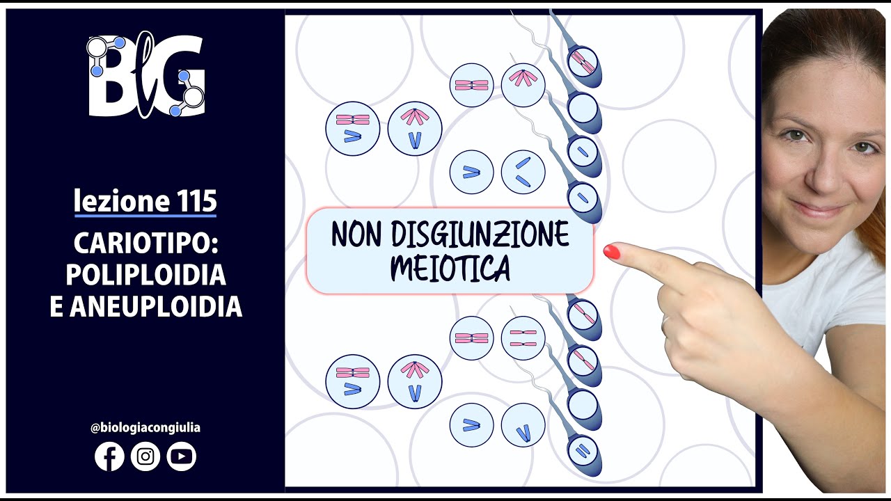 CARIOTIPO: POLIPLOIDIA e ANEUPLOIDIA