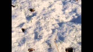 (in the future everyone will be) world famous for fifteen minutes