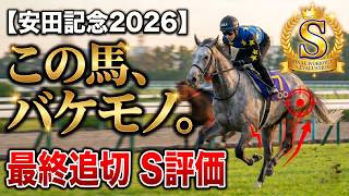 🎯【安田記念2026】田中調教師が重要なコメントを示唆、レーベンスティールとシックスペンス|この馬、バケモノ。最終追い切りS評価で大波乱を呼ぶ激走穴馬!