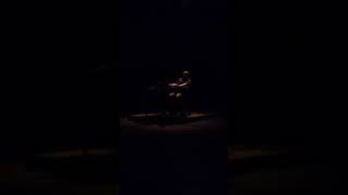 Aaron Dilloway live at  Audible Festival