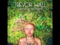Trevor Hall - Chapter Of The Forest 