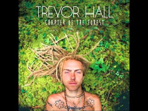 Trevor Hall - Chapter Of The Forest