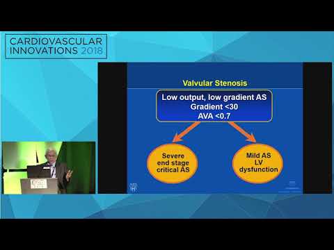 CVI2018 Session: Tools I wish I had in the cath lab for aortic disease - David R. Holmes, Jr., MD